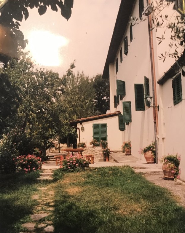 A grass path along the white house, with green shutters, terracotta pots, and roses.
