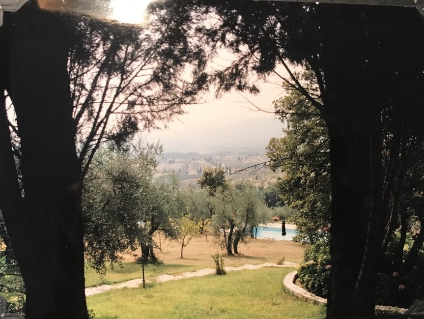 A view through dark trees toward olive trees, a curved lawn path, a swimming pool, and the valley.