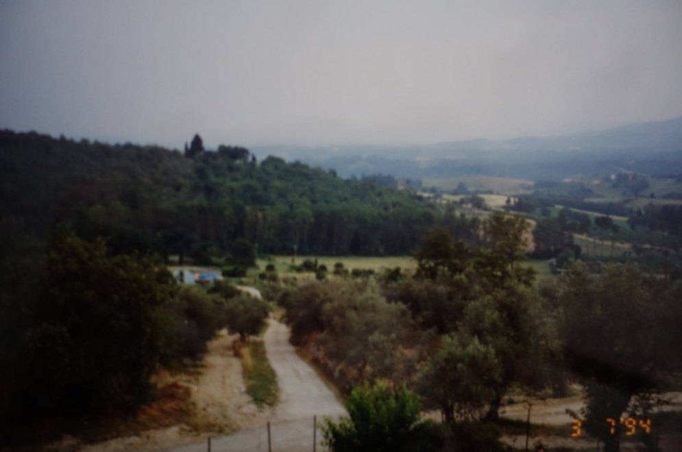 A pale dirt road winding through olive trees and wooded hills in 1994.
